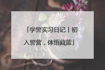 学警实习日记丨初入警营，体悟藏蓝