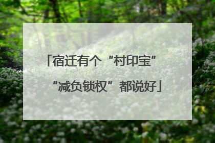 宿迁有个“村印宝” “减负锁权”都说好