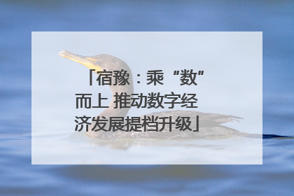 宿豫：乘“数”而上 推动数字经济发展提档升级