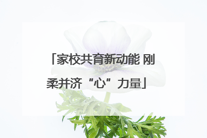 家校共育新动能 刚柔并济“心”力量