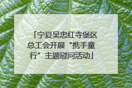 宁夏吴忠红寺堡区总工会开展“携手童行”主题慰问活动