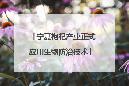 宁夏枸杞产业正式应用生物防治技术