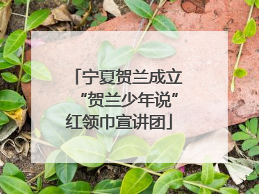 宁夏贺兰成立“贺兰少年说”红领巾宣讲团