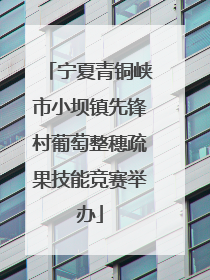 宁夏青铜峡市小坝镇先锋村葡萄整穗疏果技能竞赛举办