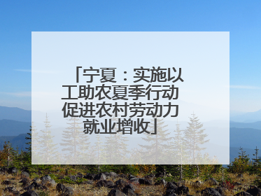 宁夏：实施以工助农夏季行动促进农村劳动力就业增收