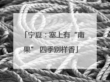 宁夏：塞上有“南果” 四季别样香