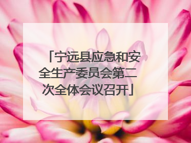 宁远县应急和安全生产委员会第二次全体会议召开