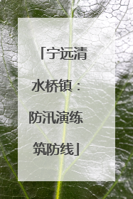 宁远清水桥镇：防汛演练筑防线