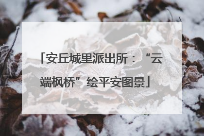 安丘城里派出所：“云端枫桥”绘平安图景