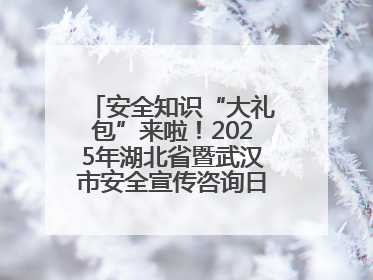 安全知识“大礼包”来啦！2025年湖北省暨武汉市安全宣传咨询日活动在汉举行