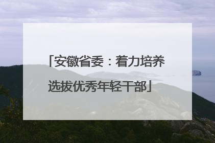安徽省委：着力培养选拔优秀年轻干部