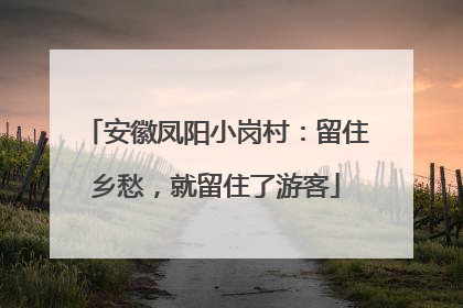 安徽凤阳小岗村：留住乡愁，就留住了游客