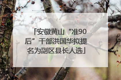 安徽黄山“准90后”干部洪国华拟提名为副区县长人选