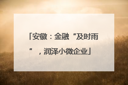 安徽：金融“及时雨”，润泽小微企业