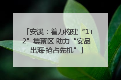 安溪：着力构建“1+2”集聚区 助力“安品出海·抢占先机”