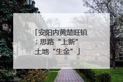 安阳内黄楚旺镇：思路“上新” 土地“生金”