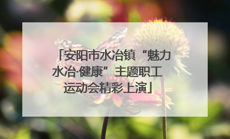 安阳市水冶镇“魅力水冶·健康”主题职工运动会精彩上演