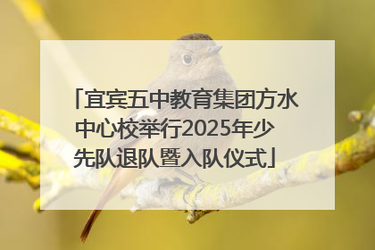 宜宾五中教育集团方水中心校举行2025年少先队退队暨入队仪式