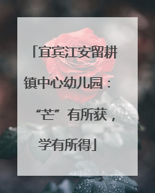 宜宾江安留耕镇中心幼儿园：“芒”有所获，学有所得