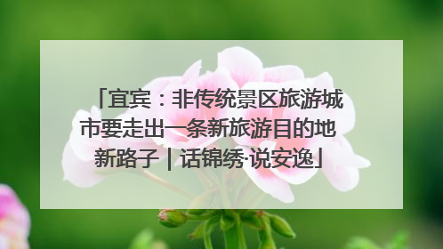 宜宾：非传统景区旅游城市要走出一条新旅游目的地新路子｜话锦绣·说安逸