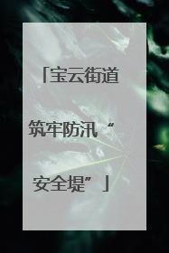 宝云街道筑牢防汛“安全堤”