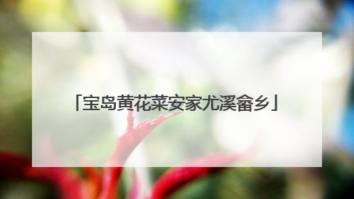 宝岛黄花菜安家尤溪畲乡