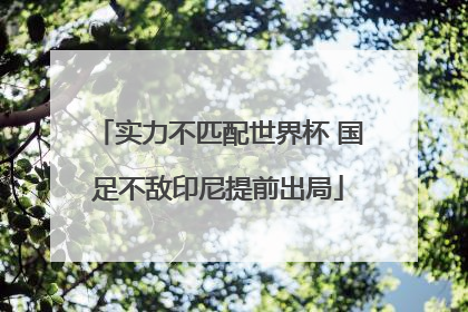 实力不匹配世界杯 国足不敌印尼提前出局