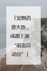 宠物消费火热，成都上演“萌宠总动员”