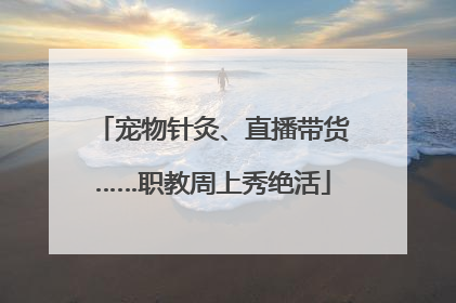 宠物针灸、直播带货……职教周上秀绝活