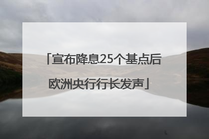 宣布降息25个基点后 欧洲央行行长发声