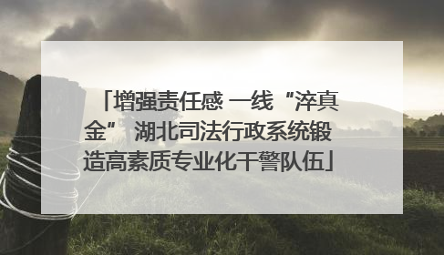 增强责任感 一线“淬真金” 湖北司法行政系统锻造高素质专业化干警队伍
