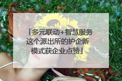 多元联动+智慧服务 这个派出所的护企新模式获企业点赞