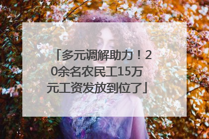 多元调解助力！20余名农民工15万元工资发放到位了