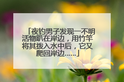 夜钓男子发现一不明活物趴在岸边，用竹竿将其拨入水中后，它又爬回岸边……