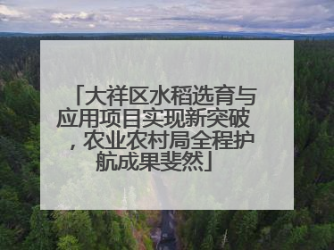 大祥区水稻选育与应用项目实现新突破，农业农村局全程护航成果斐然