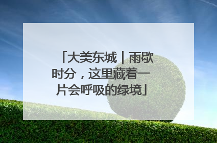 大美东城｜雨歇时分，这里藏着一片会呼吸的绿境