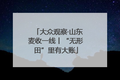 大众观察·山东麦收一线丨“无形田”里有大账