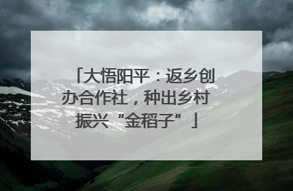 大悟阳平：返乡创办合作社，种出乡村振兴“金稻子”