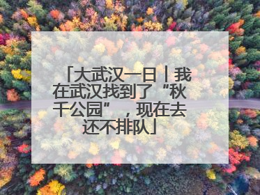 大武汉一日︱我在武汉找到了“秋千公园”，现在去还不排队
