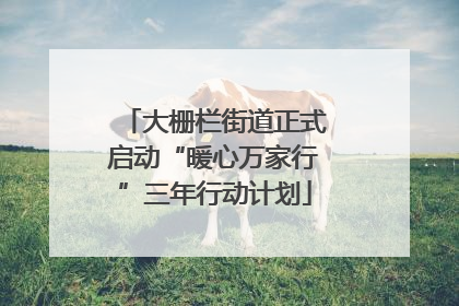 大栅栏街道正式启动“暖心万家行”三年行动计划