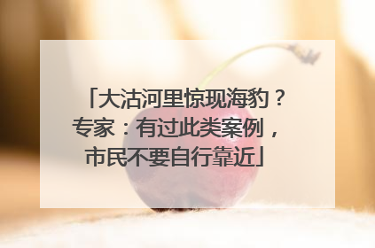 大沽河里惊现海豹？专家：有过此类案例，市民不要自行靠近
