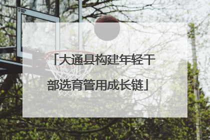 大通县构建年轻干部选育管用成长链