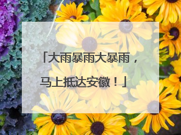 大雨暴雨大暴雨，马上抵达安徽！