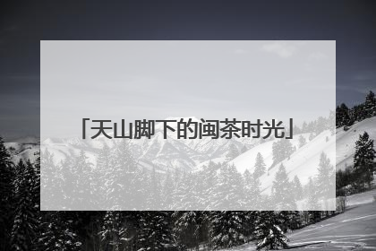 天山脚下的闽茶时光