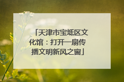 天津市宝坻区文化馆：打开一扇传播文明新风之窗