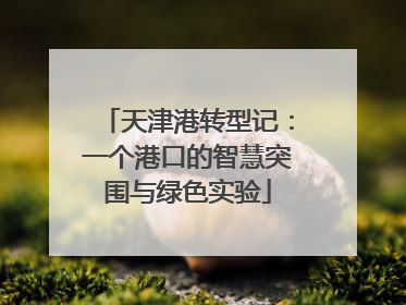 天津港转型记：一个港口的智慧突围与绿色实验