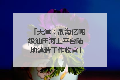 天津：渤海亿吨级油田海上平台陆地建造工作收官