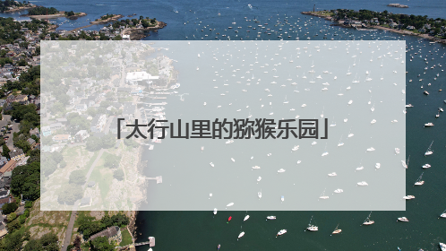 太行山里的猕猴乐园