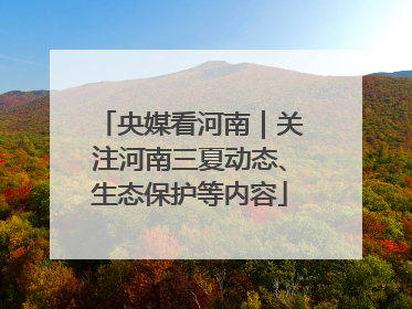 央媒看河南｜关注河南三夏动态、生态保护等内容