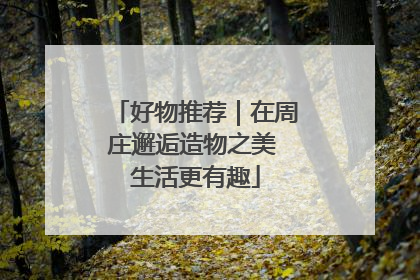 好物推荐｜在周庄邂逅造物之美 生活更有趣